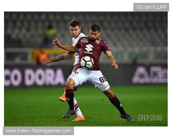 残疾人士观赛专区设立，意甲俱乐部包容性推进